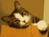 Relaxed Cat Clip Art